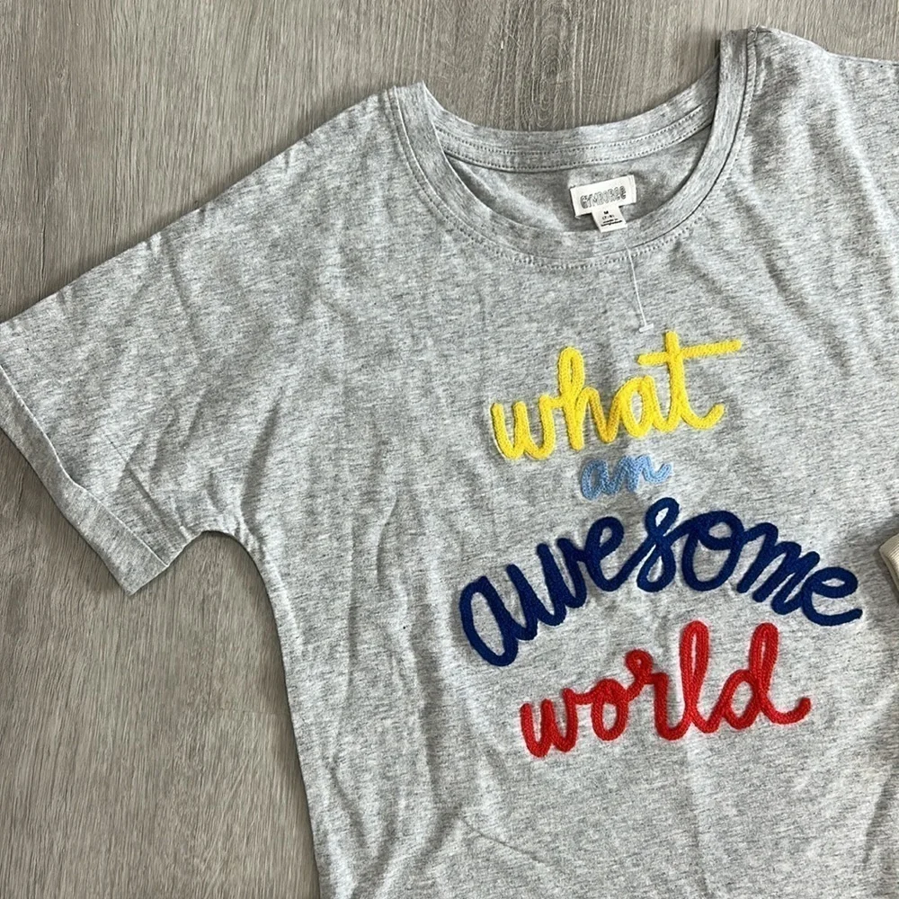 2 Gymboree oversized tee shirts